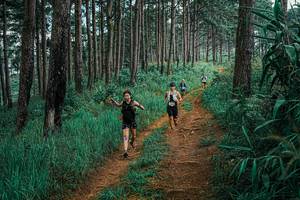 BIB: 
                            <button type="button" onclick="openModal(25655384)" class="btn btn-primary btn-sm float-right btn-popup" data-toggle="modal" data-target=".modal-high-quality">
                        <i class="fas fa-shopping-cart"></i> Add to Cart
                    </button>
                                            <button type="button" onclick="isThisMe(25655384, true)" class="btn btn-success btn-sm float-right btn-popup btn-isme hidden" data-toggle="tooltip" data-placement="bottom" title="นี่คือรูปของคุณใช่ไหม คลิกที่นี่เพื่อเอาเข้าอัลบั้ม">
                        <i class="fas fa-plus"></i> Add to album
                    </button>
                    <button type="button" onclick="isThisMe(25655384, false)" class="btn btn-warning btn-sm float-right btn-popup btn-isnotme hidden">
                        <i class="fas fa-ban"></i> Remove from album
                    </button>